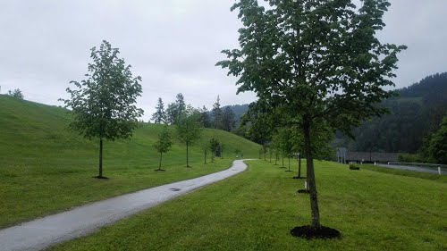 14.05.2016.g., Poljana partizanska proslava ob zmagi nad vojsko, ki je odložila orožje pred vstopom v Avstriju. 
