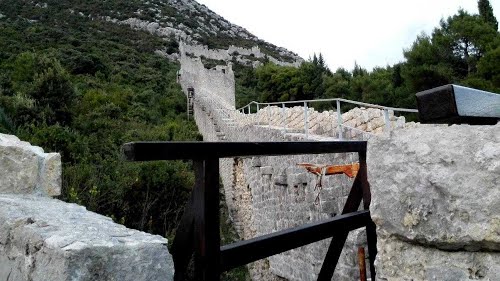 Ston, 2014-10-24.g., gosti D, F,M.