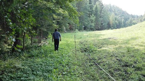 2014-08-13.g., CELJE - Košnica, komunistično morišče Celjanov 1945.