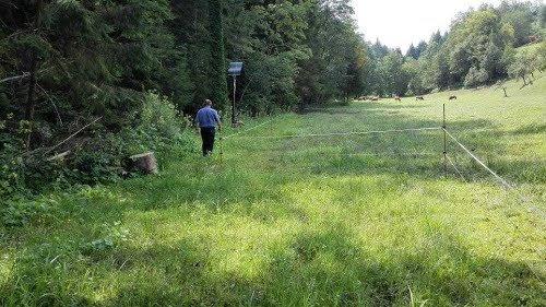 2014-08-13.g., CELJE - Košnica, komunistično morišče Celjanov 1945. grobišče v ograjenem pašniku