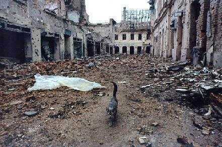 Vukovar 1991.g.: ULICA SMRTI