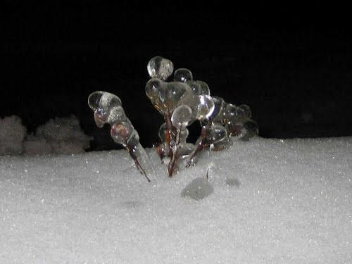 Velenje, 2014-02-04.g., ZLOČESTA ZIMSKA LJEPOTA