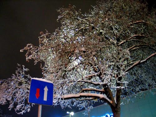 Velenje, 2014-02-04.g., ZLOČESTA ZIMSKA LJEPOTA