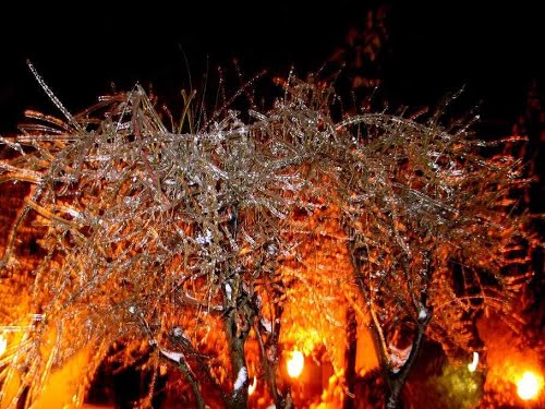 Velenje, 2014-02-04.g., ZLOČESTA ZIMSKA LJEPOTA