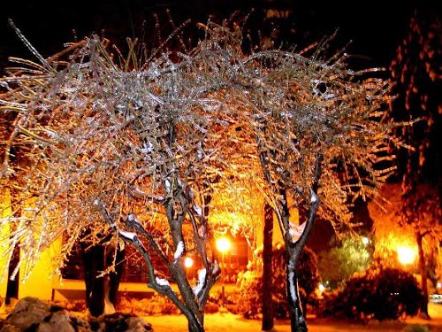 Velenje, 2014-02-04.g., ZLOČESTA ZIMSKA LJEPOTA