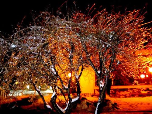 Velenje, 2014-02-04.g., ZLOČESTA ZIMSKA LJEPOTA
