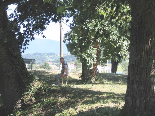 Sveti Križ - Začretje, 2013-08-02.g., veliki ribnjak stoljetni hrastovi - trenutak života g. Franje.