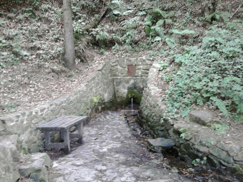Šoštanj, 2013-07-10.g., Tresmirjev studenec - zdrava pitna voda