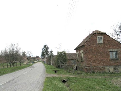 Donji mosti 2013-04-13.g., kuče i ljudi stoljeća