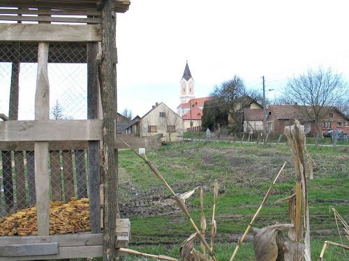 Donji mosti 2013-04-13.g., kuče i ljudi stoljeća