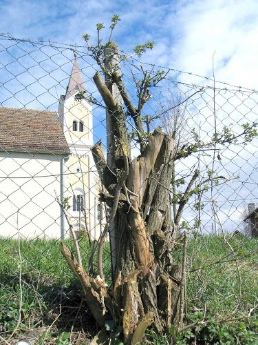Donji mosti 2013-04-13.g., kuče i ljudi stoljeća