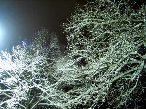 Velenje, 2013-01-14.g., nočne snežne lepote