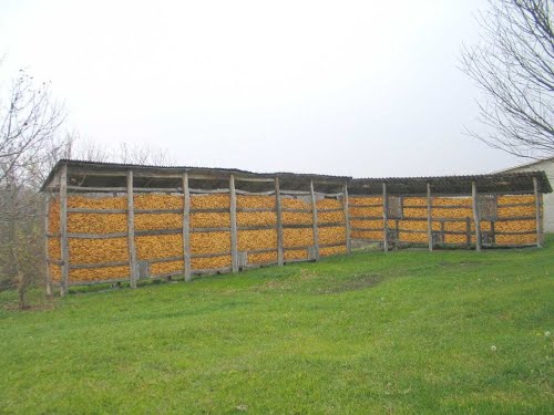 Donja Velika, 2012-11-18.g., slikopis posjete