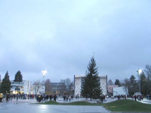 Velenje, 2012-11-30.g., protest proti korupcijski vladi R.Slovenije (najmanj 200 protestnikov)