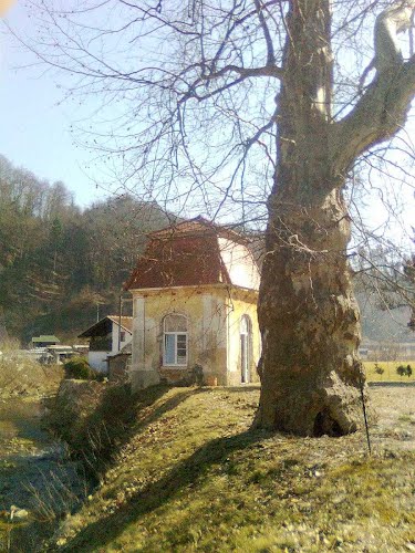 Vojnik, Višnja vas 2012-03-02, drevo pri graščini