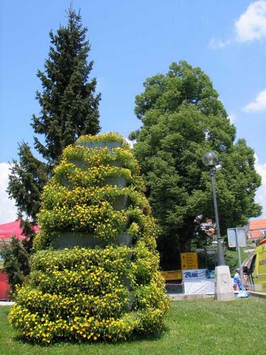Komenda 2011.05.21.g., mestne lepote