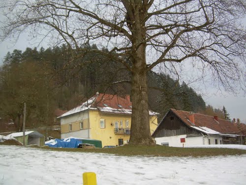 Radlje ob Dravi 2011-01-23.g. neki simboli mesta