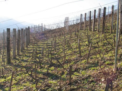 Lepoglava 2011-02-05., ljepote vu Zagorskih bregih