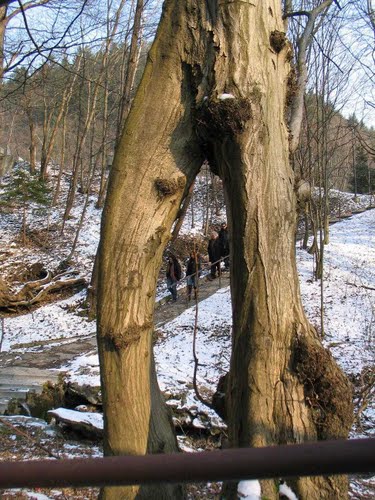Trbovlje - Gabersko 2011-02-23.g., što sve može priroda da nam dočara
