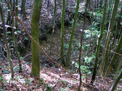 Mertvi Jarek 2010-10-09.g.: šumski kanal komunističkih žrtava