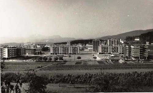 Velenje (2010.) v času XX. stoletja