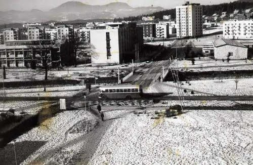 Velenje (2010.) v času XX. stoletja
