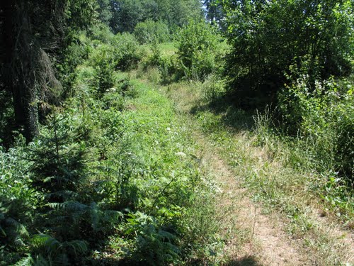 Šoštanj - Gorica 2010-07-22., na tej poti je verjetno tudi grobnica  - grobišče ?