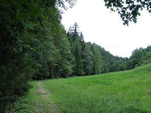 Celje - Košnica 2010-07-30.: je bilo potrebno čakati 65 let, da bi odprli to zastrašujoče grobišče ?