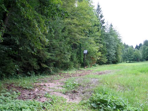 Celje - Košnica 2010-07-30.: je bilo potrebno čakati 65 let, da bi odprli to zastrašujoče grobišče ?