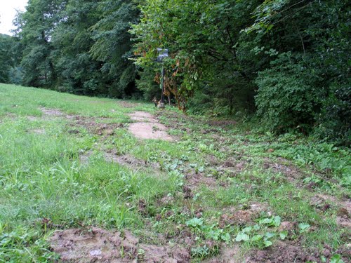 Celje - Košnica 2010-07-30.: je bilo potrebno čakati 65 let, da bi odprli to zastrašujoče grobišče ?