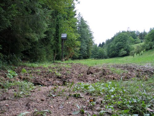 Celje - Košnica 2010-07-30.: je bilo potrebno čakati 65 let, da bi odprli to zastrašujoče grobišče ?
