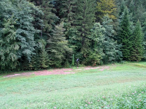 Celje - Košnica 2010-07-30.: je bilo potrebno čakati 65 let, da bi odprli to zastrašujoče grobišče ?