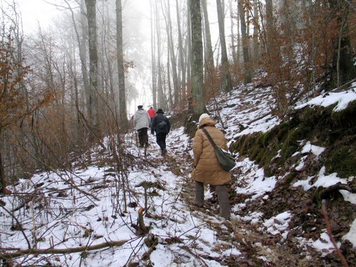 Gvozdansko 10-01-2010.g.: Prvo Hodočašće i posjeta tvrdjavi Zrinski