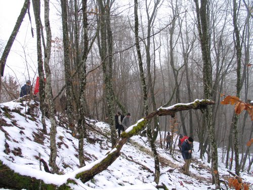 Gvozdansko 10-01-2010.g.: Prvo Hodočašće i posjeta tvrdjavi Zrinski