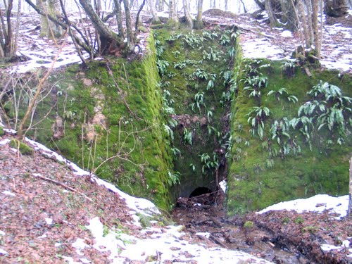 Gvozdansko 10-01-2010.g.: Prvo Hodočašće i posjeta tvrdjavi Zrinski