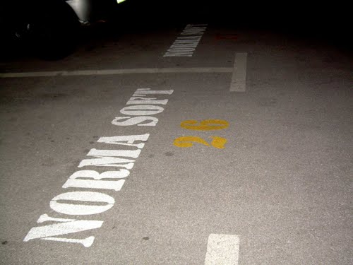 Velenje-Šalek 2009.: grabež državne lastnine in "pamet ima meje, neumnost pa ne" !