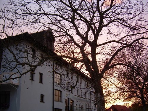 Poređe 14-10-2009.g.