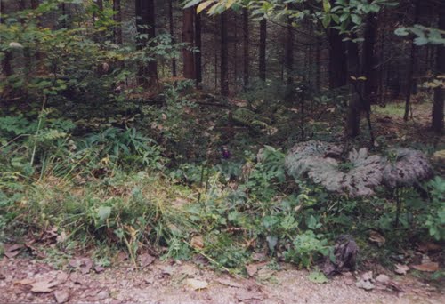 Crngrob 1999. leta. Križe žrtvam komunističnega zločina postavilo "Društvo za ureditev zamolčanih grobov" 