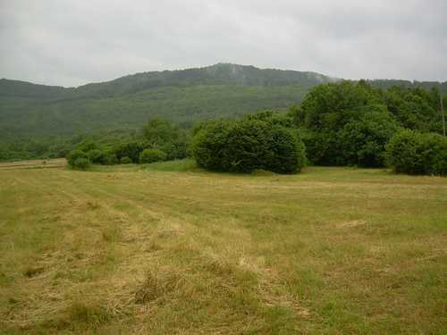 Sošice - Jazovka (22-06-2009.g.): hiljade žrtava komunističkog genocida na Žumberačkoj gori