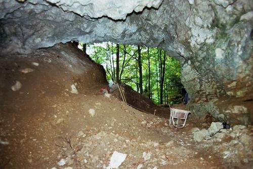 Gornji Dolič - Špehovka: arheološko sondiranje v Špehovki 1990.leta