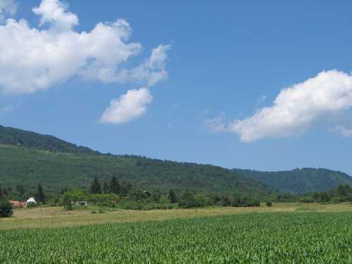 Sošice - Jazovka (2008.g.): hiljade žrtava komunističkog genocida