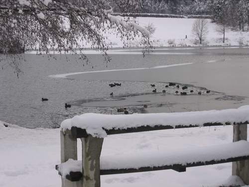Velenjsko jezero - zima 2004.