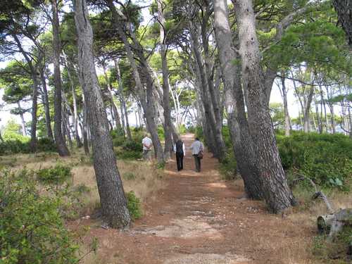 Daksa (2008.g.): grobište komunističkih zločina 1944.g.