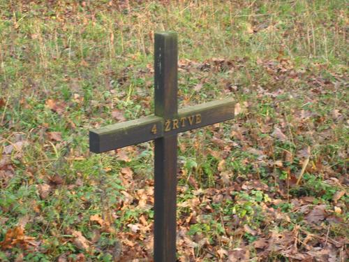 DONJI LUG 2005.g.: posjeta Društva za istraživanje ratnih i poratnih žrtava (križ pokraj masovne grobnice komunističkih zločina)