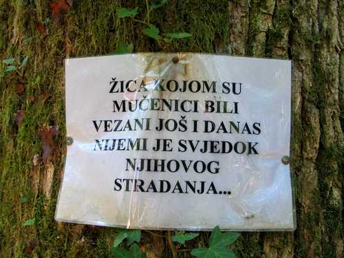 Jastrebarsko - Gović 2008.g.: proklet bio, tko ih je ubio ovdje u zelenom gaju