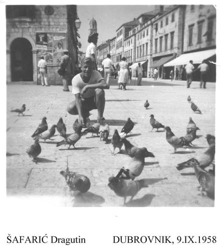 Dubrovnik 1958.g. Dragutin Šafarić