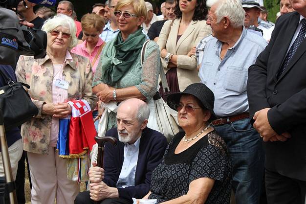 Boricevac spomenik 2017 23