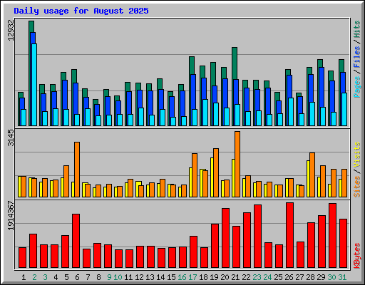 Daily usage for August 2025