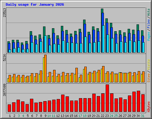 Daily usage for January 2026