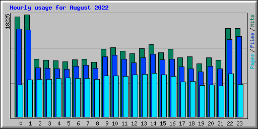 Hourly usage for August 2022
